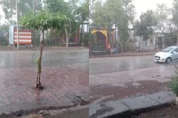 Heavy Rain: राजस्थान के इन जिलों में झमाझम बारिश, दुकानों के उड़े टीन शेड, कई
जिलों में IMD का ऑरेंज अलर्ट - image