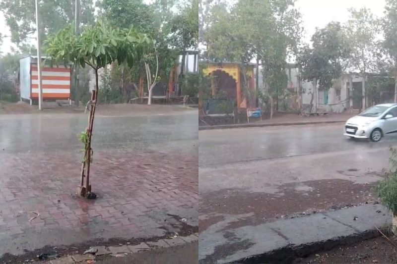 Rajasthan Rain