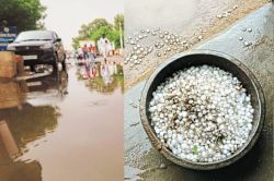 Rajasthan Rains: राजस्थान के इस जिले में झमाझम बारिश, आंधी में टूटे 84 बिजली पोल
और 6 ट्रांसफार्मर, खेत-सड़क लबालब - image