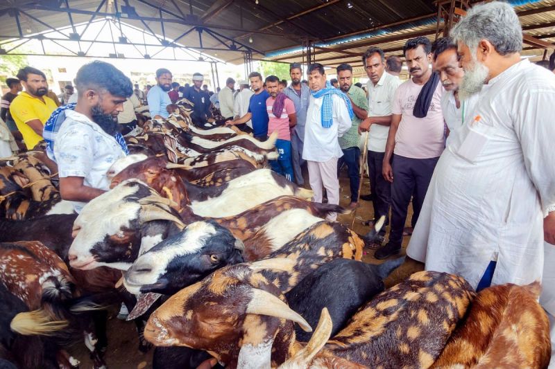 Ramganj Bakra Mandi