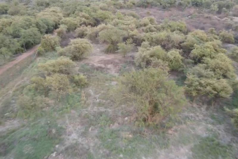 Mukundara Hills Tiger Reserve