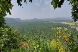 बुंदेलखंंड का नया स्पॉट: वीरांगना दुर्गावती टाइगर रिजर्व में आएंगे टूरिस्ट,
बढ़ेगा पर्यटन - image