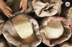Ration scam: पति-पत्नी ने मिलकर किया 54 लाख का राशन घोटाला, फूड इंस्पेक्टर ने
दर्ज कराई एफआईआर - image