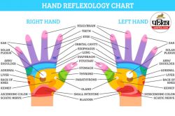 Reflexology Therapy : सिरदर्द, तनाव, थकावट, पेट की तकलीफ से राहत दिलातीं
हथेलियां, जानिए क्या है रिफ्लेक्सोलॉजी - image