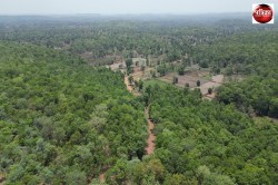 CG Road News: खूबसूरत वनांचल में जुनवानी से चिखलीटोला तक बनेगी सड़क - image