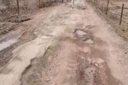 क्षतिग्रस्त बलकासा लिंक सड़क पर आवागमन हुआ मुश्किल - image