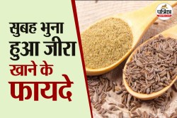 Roasted Jeera Powder: रोजाना सुबह भुना हुआ जीरा खाने से क्या लाभ होता है? - image