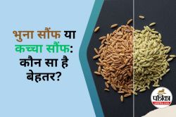 Roasted Saunf or Raw Fennel Seeds : भुना सौंफ या कच्चा सौंफ, जानिए कौनसा होता है
ज्यादा फायदेमंद - image