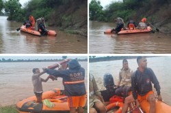 Rajasthan: उफनती पार्वती नदी से SDRF ने बचाई 5 जिंदगियां, बाढ़ में फंसे थे
ग्रामीण; टापू पर चला रेस्क्यू - image