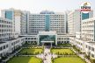 SGPGI Lucknow Recruitment 2025: पीजीआई लखनऊ में नर्सिंग ऑफिसर सहित कई अन्य पदों
के लिए 1400 से अधिक वैकेंसी निकली