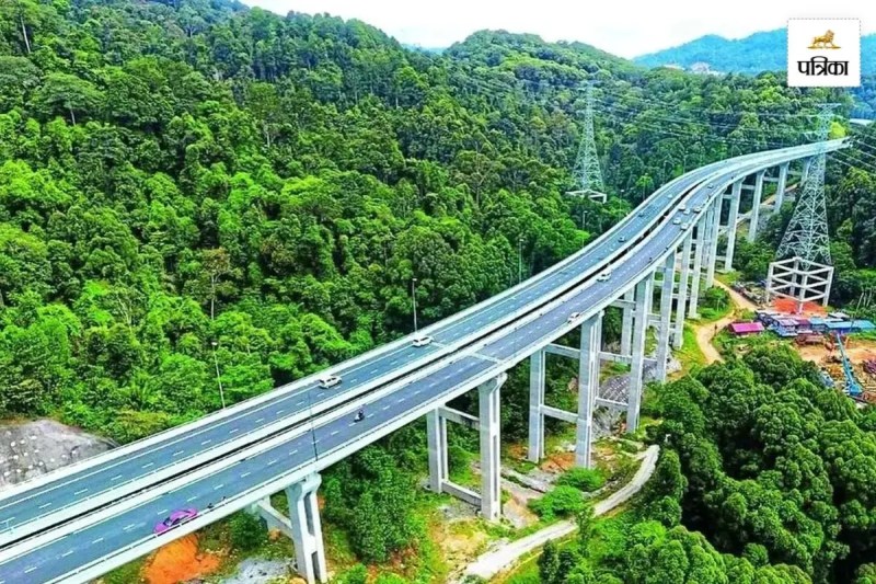 Sariska Elevated Road