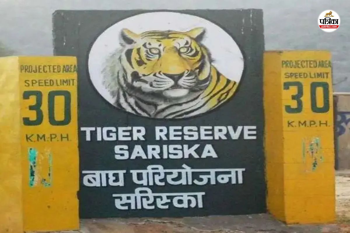 Rajasthan Sariska Tiger Reserve 1 July to September three months Tourists will not be able to visit know why