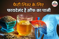 Saunf Water For Fatty Liver
