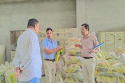कृषि आयुक्तालय की टीम ने बीज उत्पादक फर्मों का औचक निरीक्षण कर नमूने लिए - image