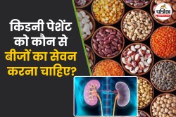 Seeds for Kidney Patients: सुबह खाली पेट खाएं ये खास बीज, किडनी पेशेंट को मिल
सकता है बड़ा फायदा! - image