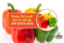 Shimla Mirch Ke Fayde : कच्ची या पकी शिमला मिर्च, कौन सी है ज्यादा फ़ायदेमंद? - image