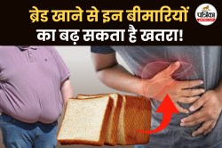 Side Effects Of Eating Too Much Bread: रोज ब्रेड खाना पड़ सकता है भारी, मोटापा
और लिवर सहित इन बीमारियों का बढ़ सकता है खतरा! - image