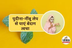 Skin Care Tips : पुदीना-नींबू का फेस पैक, पाएं दमकता चेहरा और मुहांसों से
छुटकारा - image