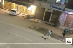 Stone pelting: Video: बारात में डांस करते समय हुआ विवाद, मारपीट के बाद जमकर हुई
पत्थरबाजी, वीडियो वायरल - image