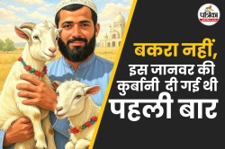 Story Behind Bakrid: अल्लाह के लिए इब्राहिम के बेटे की कुर्बानी: फिर बकरीद पर
‘बकरे’ की कुर्बानी कैसे शुरू हुई? - image