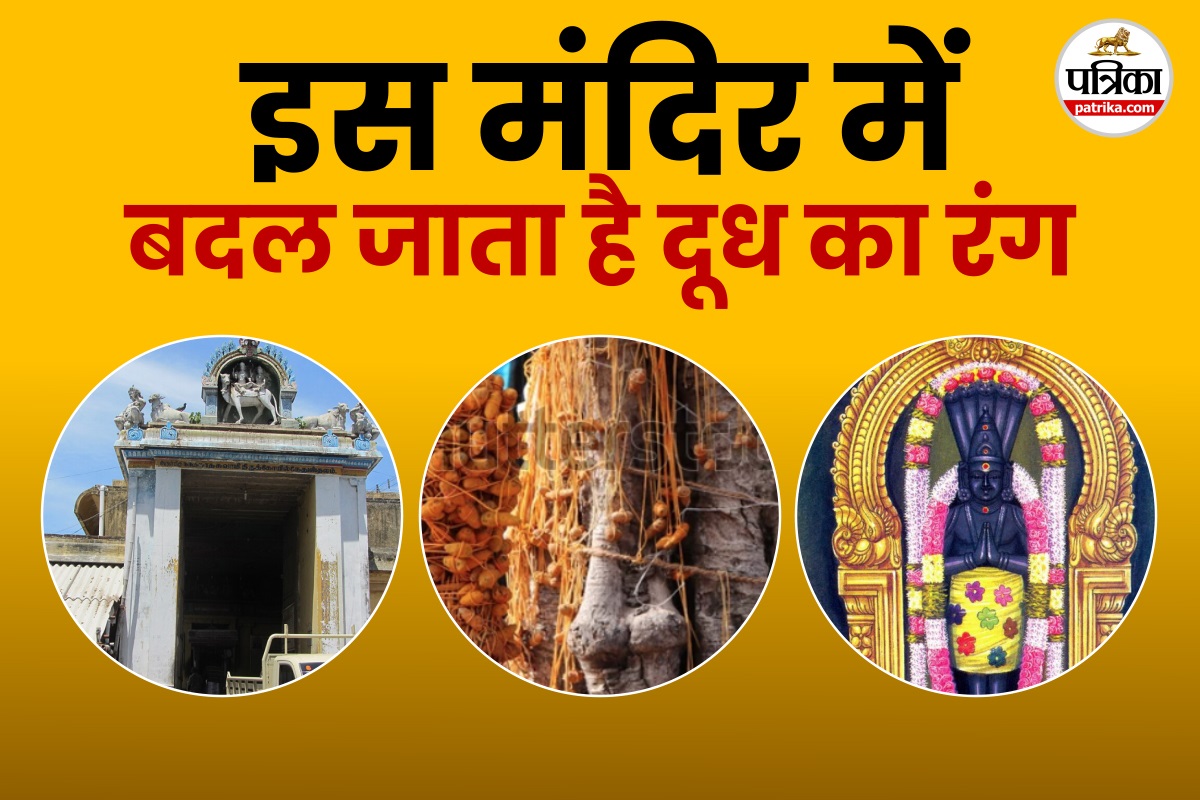 चमत्कारी मंदिर जहां केतु दोष पीड़ित दूध चढ़ाए तो बदल जाता है रंग, ग्रह के
दुष्प्रभावों से मिलती है मुक्ति