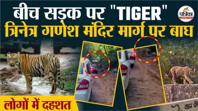 Short video poster image