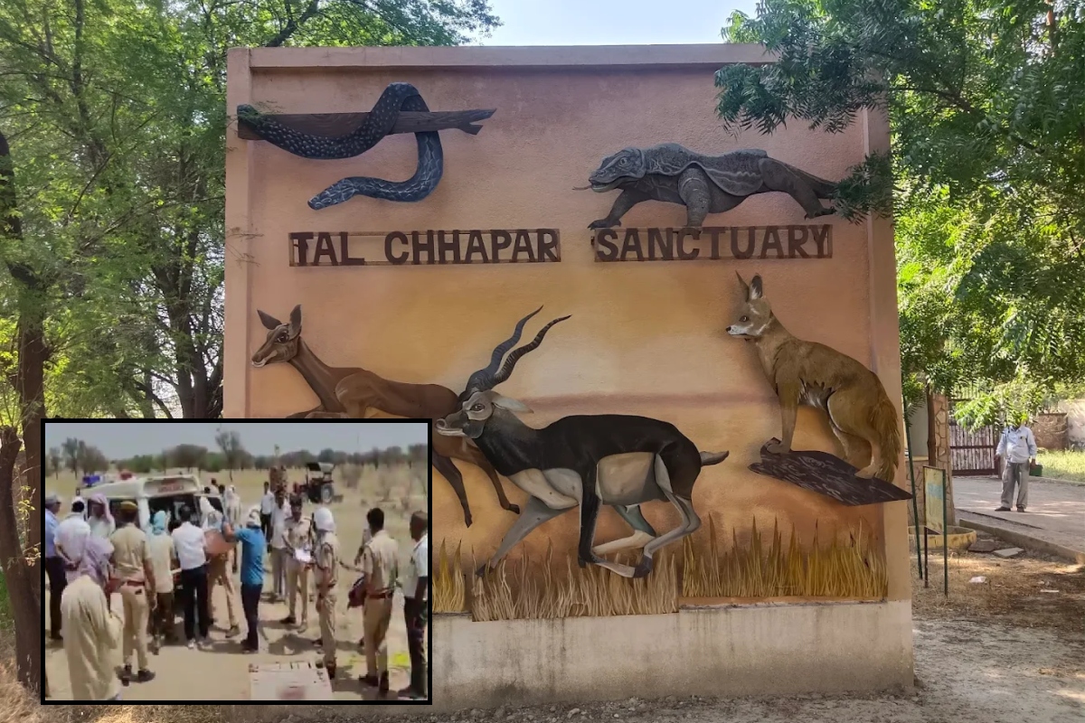 Rajasthan: तालछापर सेंचुरी में वनकर्मी की संदिग्ध परिस्थिति में मौत, इलाके में
फैली सनसनी