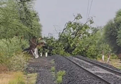 एमपी में आंधी बारिश का कहर, रेलवे ट्रैक की ओएचई लाइन टूटने से ट्रेनों का आवागमन
बंद - image