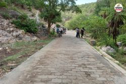 Rajasthan: रणथंभौर दुर्ग पर बाघ का मूवमेंट, अग्रिम आदेश तक दुर्ग-त्रिनेत्र गणेश
मंदिर में श्रद्धालुओं का प्रवेश बंद - image