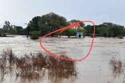 Heavy Rain: MP से राजस्थान में आया पानी, बीच नदी में फंस गया ट्रक, बह गए अनाज के
कट्टे और गैस सिलेंडर, डूब गए कई घर - image