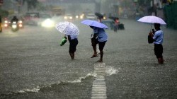 UP Rain Alert: यूपी में मॉनसून की दस्तक, 44 जिलों में बारिश और बिजली गिरने का
अलर्ट, अगले 2-3 दिनों में तापमान गिरावट - image