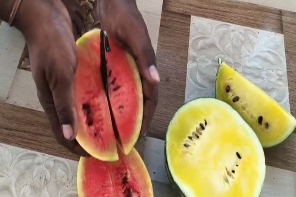 Red and yellow watermelon