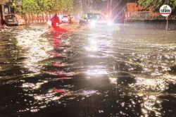 Rajasthan Weather : राजस्थान में 7 जिलों में हुई झमाझम बारिश, देखें तस्वीरें - image