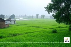 पाकिस्तान की वजह से बदलेगा मौसम का मिजाज, 34 जिलों में भयंकर बारिश का अलर्ट
जारी!  - image