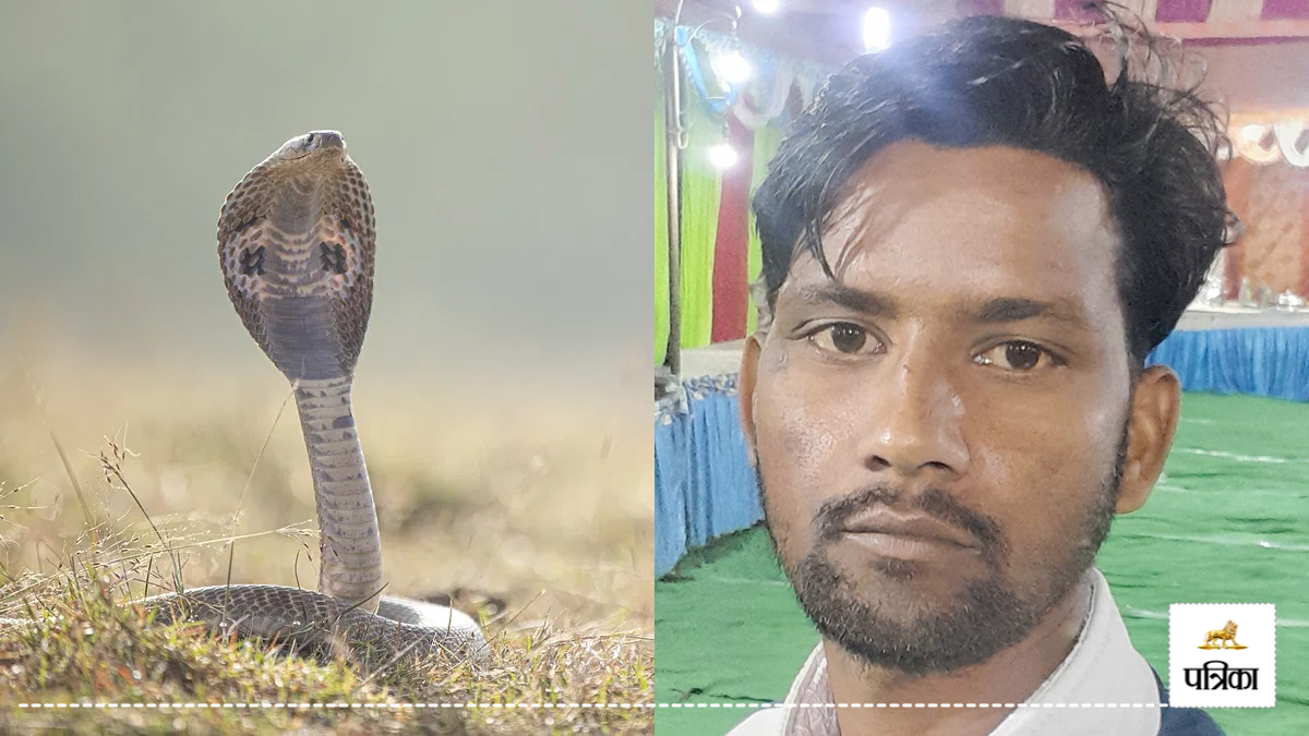 Moradabad: खिलौने बेचने गए युवक की सांप के काटने से मौत, परिवार में मचा कोहराम