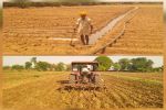 Several samples of the government seed corporation in MP failed