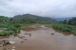 Heavy Rain Alert: आबूरोड में मूसलाधार, कुई सांगना बांध का जलस्तर बढ़ा, अब IMD ने
दी भारी बारिश की चेतावनी - image