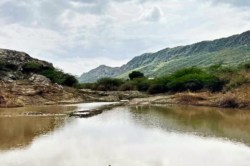 लूणी ऑक्सीजॉन से 449.01 करोड़ की आय - image