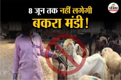 Eid Al-Adha: महाराष्ट्र में बकरीद से पहले गोसेवा आयोग ने जारी किए फरमान, कहा- 8
जून तक कोई भी… - image