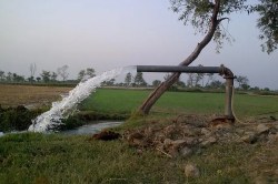 Rajasthan: राजस्थान में बेटी की मौत के आगे ढाल बनकर खड़ी हो गई मां, अपनी जान
गंवाकर बचा ली उसकी जिंदगी - image