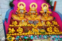 12 जून से शुरु हो रहा आषाढ़ माह, गुरु पूर्णिमा, गुप्त नवरात्रि और जगन्नाथ
रथयात्रा का होगा आयोजन - image