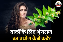 Bhringraj Benefits For Hair: बालों के झड़ने से परेशान हैं तो भृंगराज के इन 5
तरीकों से करें इस्तेमाल - image
