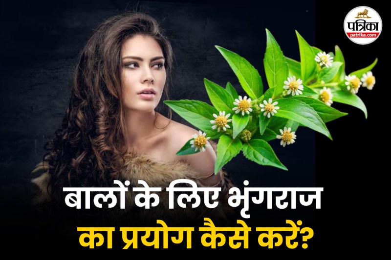 Bhringraj treatment for hair fall