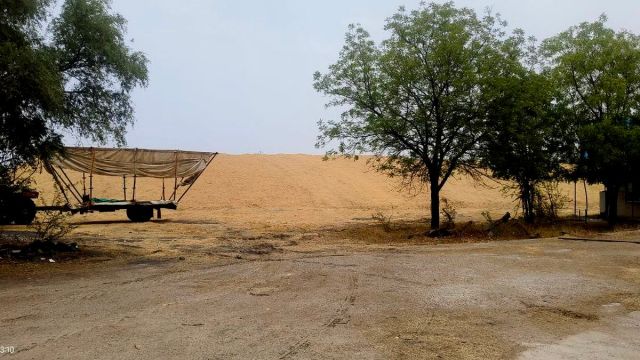 बायोमास बेस पावर प्लांट