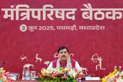 मोहन सरकार की कैबिनेट बैठक खत्म, इन बड़े फैसलों पर लगी मुहर - image