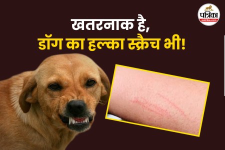 Rabies, UK woman dies from rabies, Morocco, dog bite, Yvonne Ford, dog scratch, can dog scratch cause rabies,