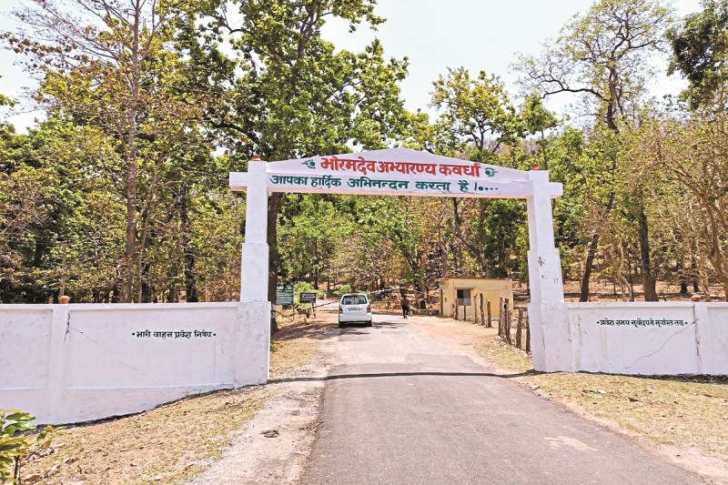 CG Tourism: 1 नंवबर से शुरू होगा भोरमदेव अभ्यारण्य, 50 किलोमीटर सफारी का रूट तय, वन विभाग की तैयारी जोरों पर