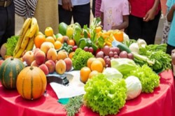 World Food Safety Day: खाने-पीने की चीजों में मिलावट बन रहा कैंसर का कारण, फूड
एंड ड्रग विभाग की कार्रवाई भी नाकाफी - image
