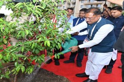 CG News: सीएम ने आईआईएम में किया सुशासन वाटिका का शुभारंभ, मौलश्री के पौधे का
किया रोपण - image