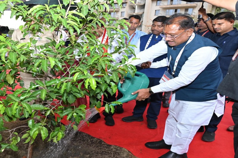 CG News: सीएम ने आईआईएम में किया सुशासन वाटिका का शुभारंभ, मौलश्री के पौधे का किया रोपण